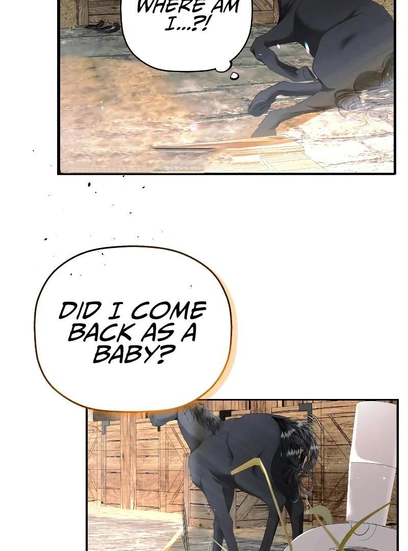 74288206 800 1080 99433